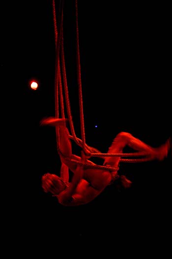 DEREVO - LA DIVINA COMMEDIA   .  . 