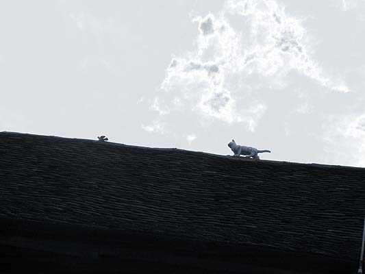 ��� ������� ������...