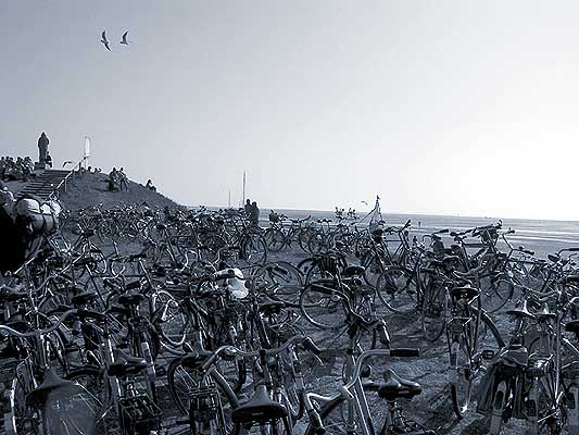 The bicycles at Terschelling
